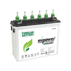 220AH  smart tubular battery